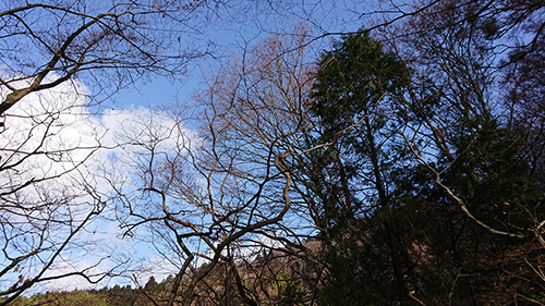 20181129_04.jpg